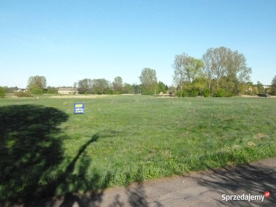 Duża tania działka w lokalizacji 9952 m2 mazowieckie Mława sprzedam
