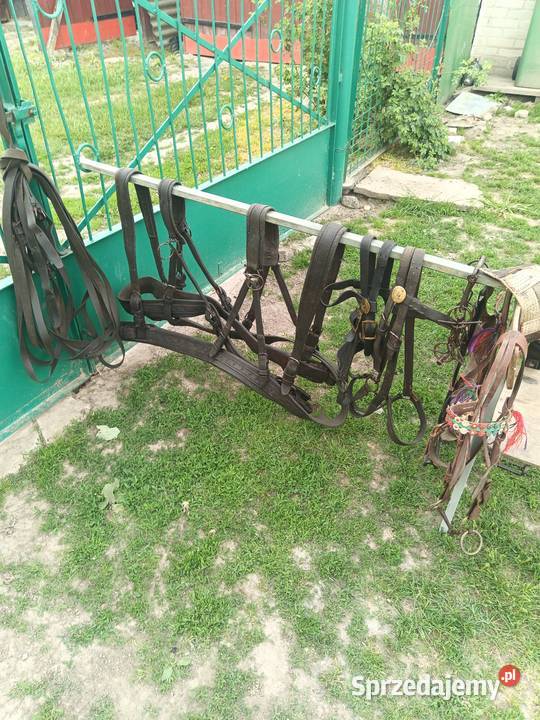 Sprzedam dwa zaprzęgi
