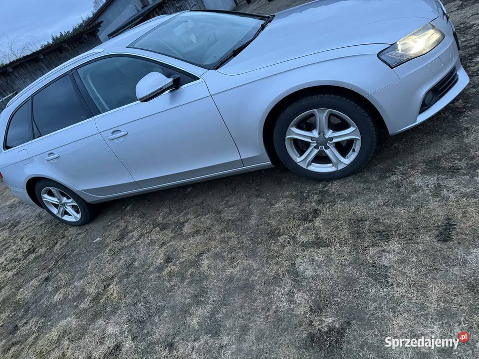 Samochód osobowy wielkopolskie