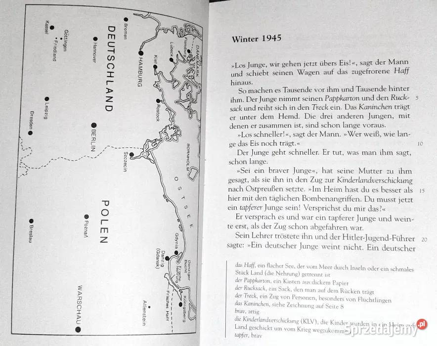 Mensch Karnickel Rudolf Herfurtner Chełm