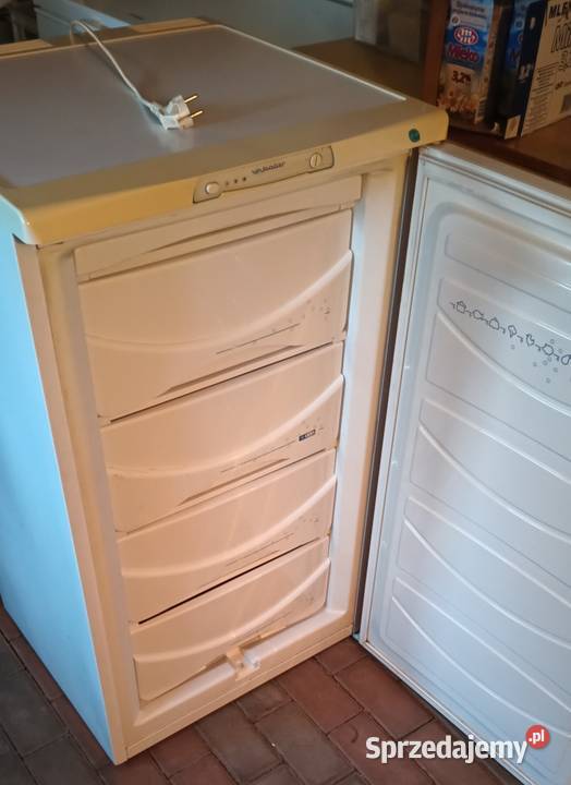 Zamrażarka Polar ZS131