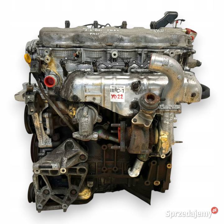 SILNIK YD22 Nissan XTrail Primera P12 22 DCI 136 Chełm