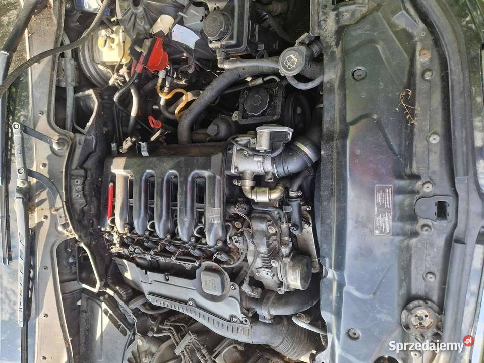 BMW e60 m57d25 Sławatycze