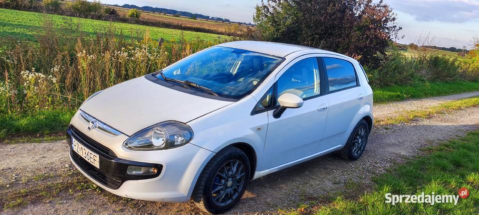 Fiat Punto Evo LPG GAZ krajowy bezwypadkowy 5 Dębno
