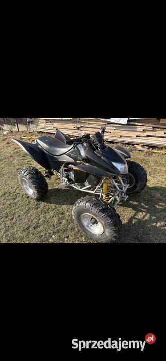 Quad duży xxl 250 bashan Access 1000km Brzesko