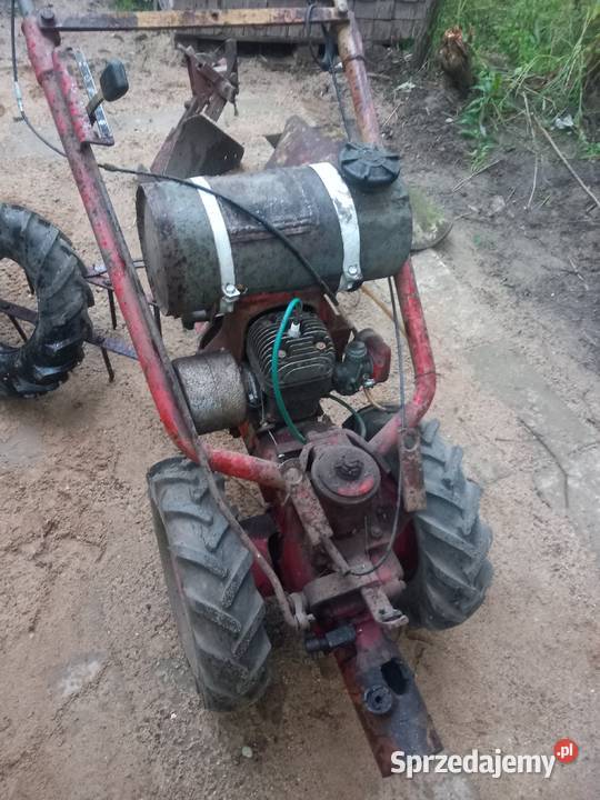 Sprzedam Traktor dzik TF 70 Morąg