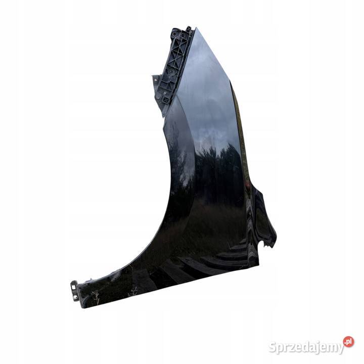 Błotnik Lewy przód przedni Kolor PAE Hyundai Barłogi