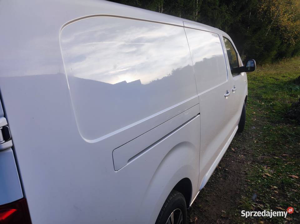 Opel Vivaro furgon blaszak 2020 podkarpackie Sanok sprzedam