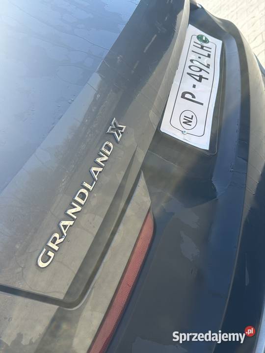 Opel Grandland X Ultimate elektrycznie ustawiane fotele Opel Iwkowa