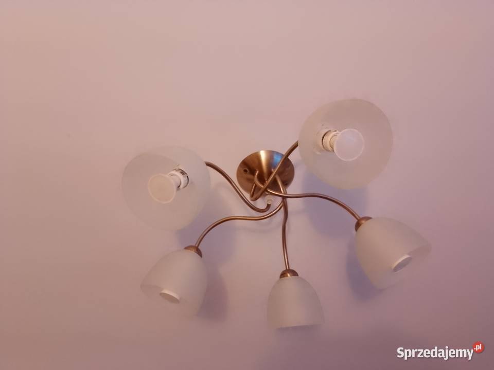 Żyrandol 5 ramienny ładny design Bełchatów