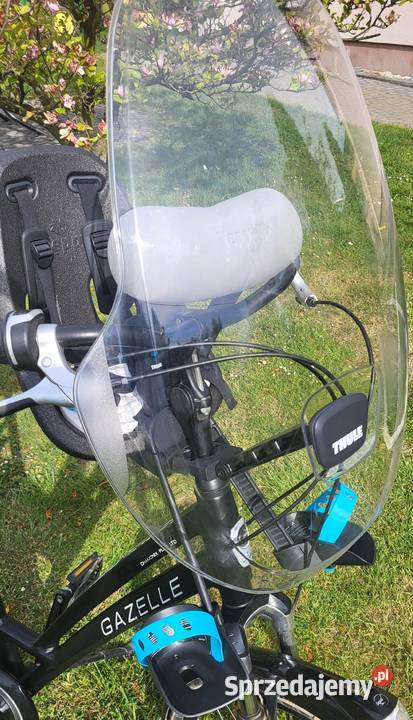 Thule Yepp Nexxt mini przedni fotelik rowerowy Gogolin
