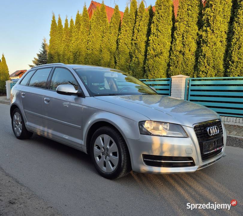 Audi A3 8P 16 Automat 16 benz Bezwypadkowa 1595cm3 A3 Stargard