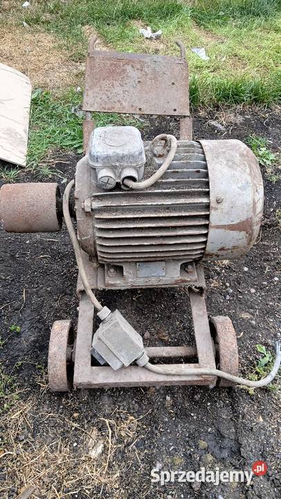 Silnik 55 kW Borowina Sitaniecka
