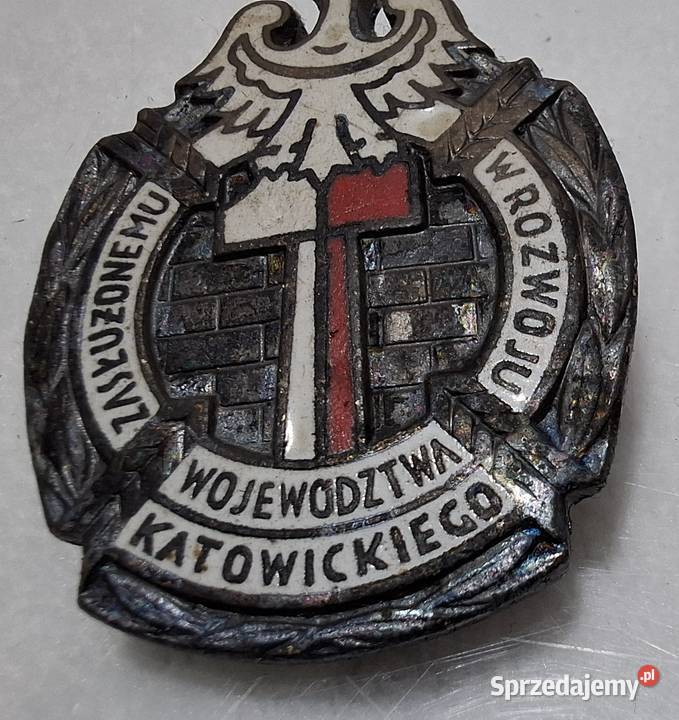 Odznaka Zasłużonemu w Rozwoju Województwa Czeladź