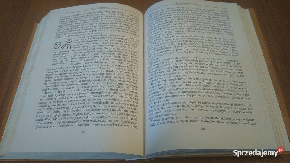 Bogowie groby i uczeni powieść o archeologii C W pomorskie Gdańsk