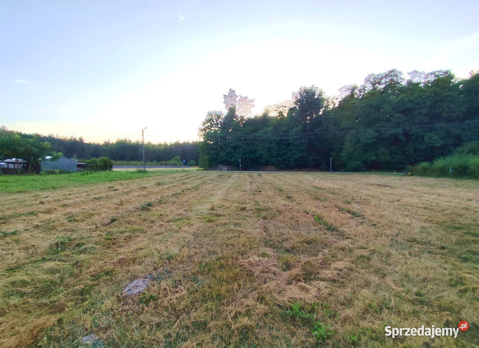 Działka budowlana Kazimierza Dolnego Kazimierz Dolny