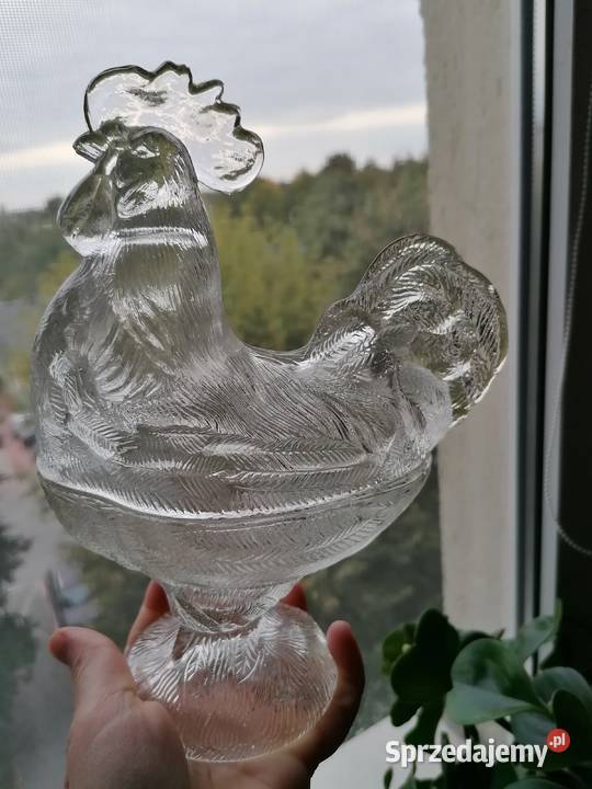 Kogut bombonierka z Ząbkowic