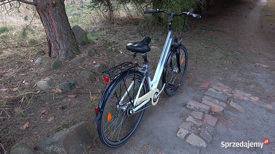 Alu Rower Miejski Damski Curtis Damka Nexus 7 Wołów