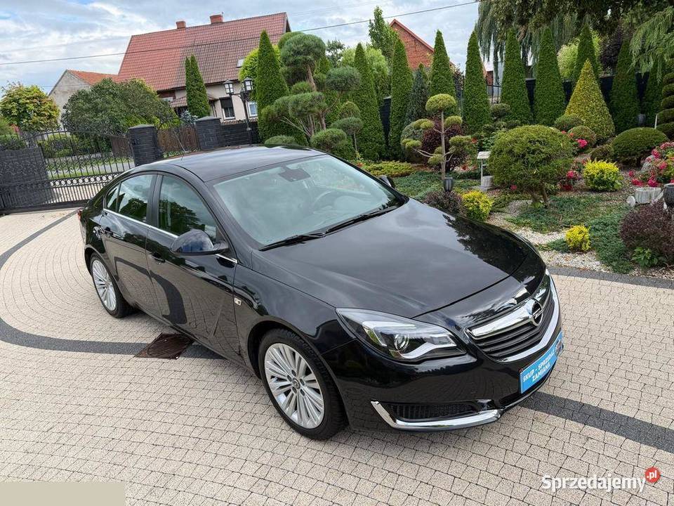 Opel Insignia 16 CDTI EcoFLEX 136 2016r Mozliwa
