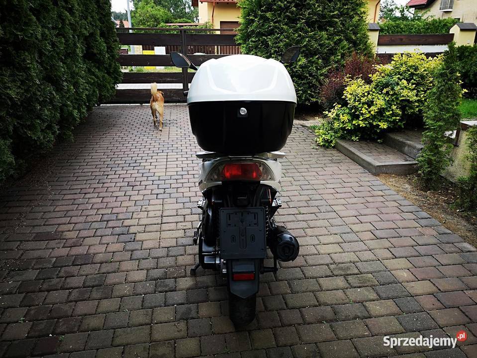 KYMCO AGILITY 15009ritalmotopila 11KM Piła