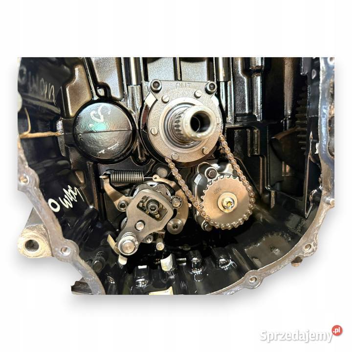 SILNIK Triumph Speed Triple 1050 135 20112016