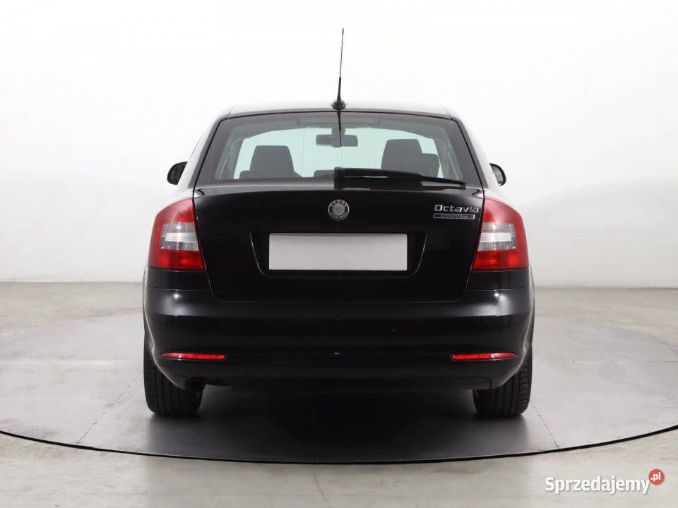 Skoda Octavia 16 TDI 77KM Octavia Katowice sprzedam