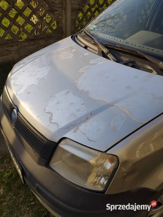 Fiat Panda Nasielsk