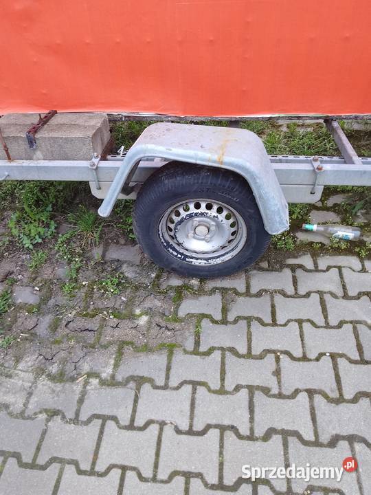 Przyczepa reklamowa Niewiadów Niewiadów Poznań