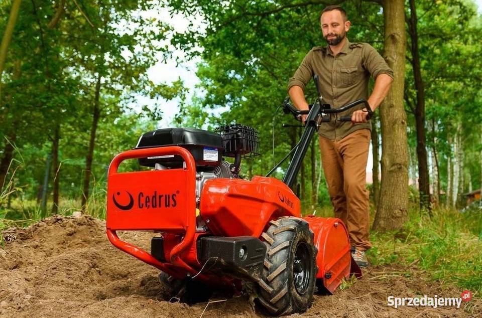 Glebogryzarka z Napędem Cedrus GL03 PRO Loncin wielkopolskie Konin