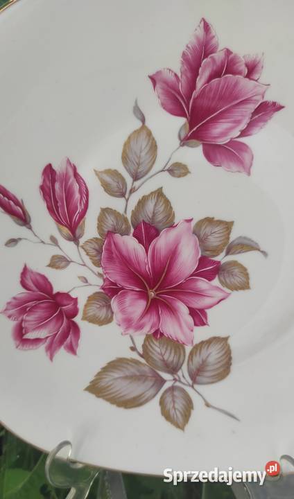 PIĘKNA DUŻA  PATERA BAVARIA WINTERLING ROSLAU  Pabianice