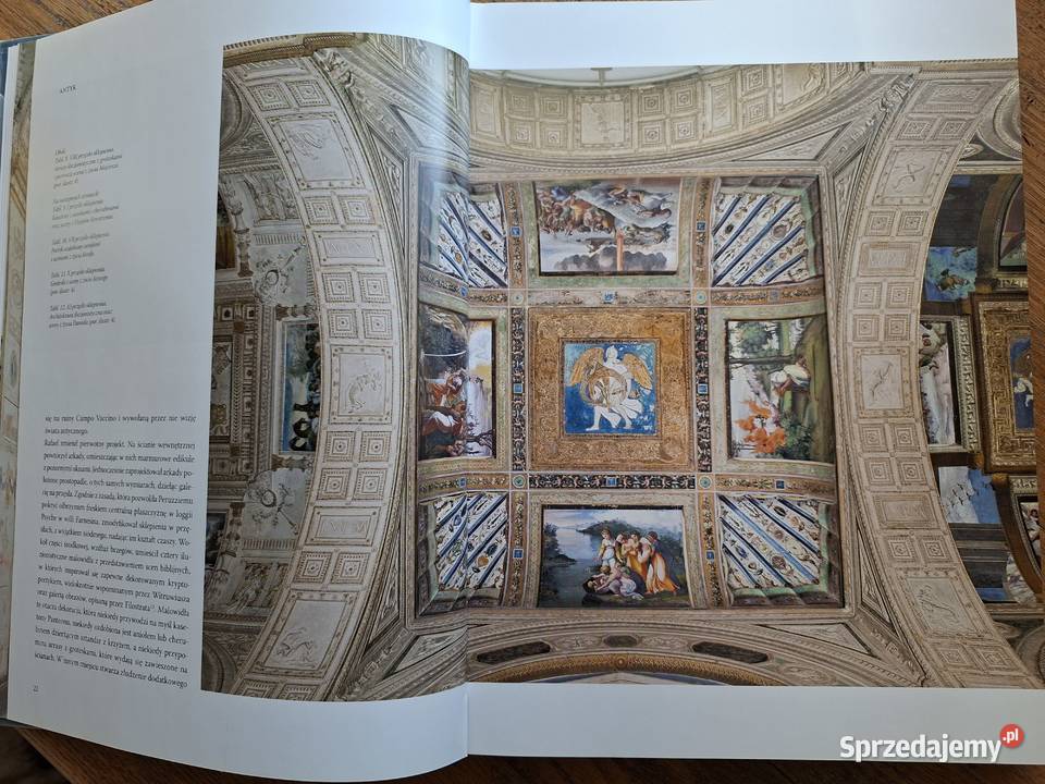 Rafael w Watykanie Nicole Dacos Książki naukowe i popularnonaukowe Książki i Podręczniki