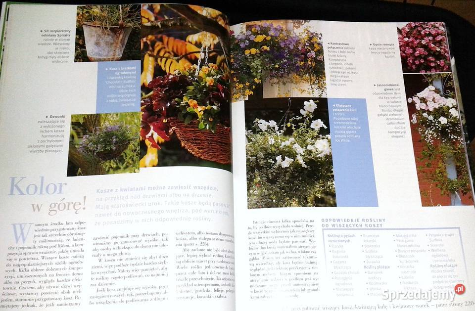 Ogród w doniczkach Readers Digest Chełm