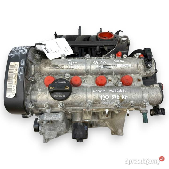 SILNIK BXW Seat Cordoba II Leon Toledo III Altea Chełm