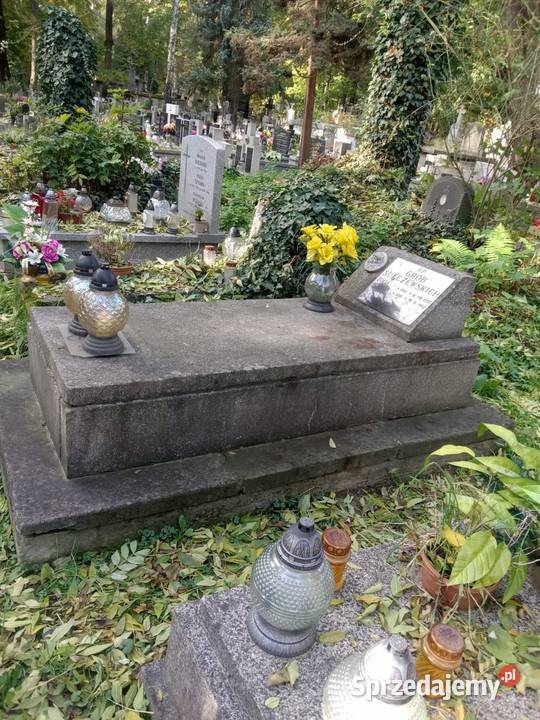 Piwniczna na cmentarzu Rakowickim.