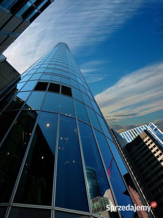 Usługi alpinistyczne montaż siatki na dachu Wrocław