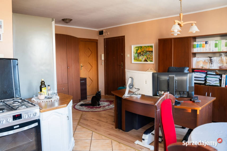 Idealne mieszkanie na Biuro Mieszkanie w Wrocław