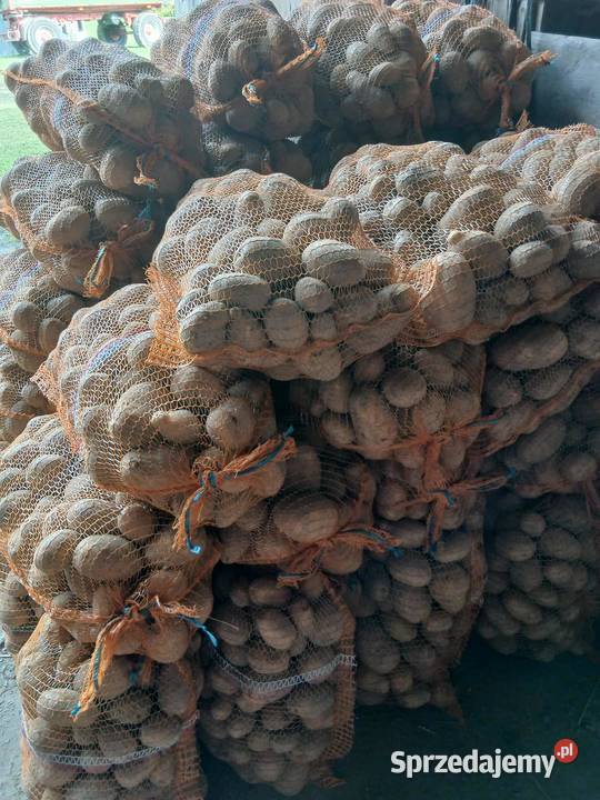 Sprzedam ziemniaki jadalne