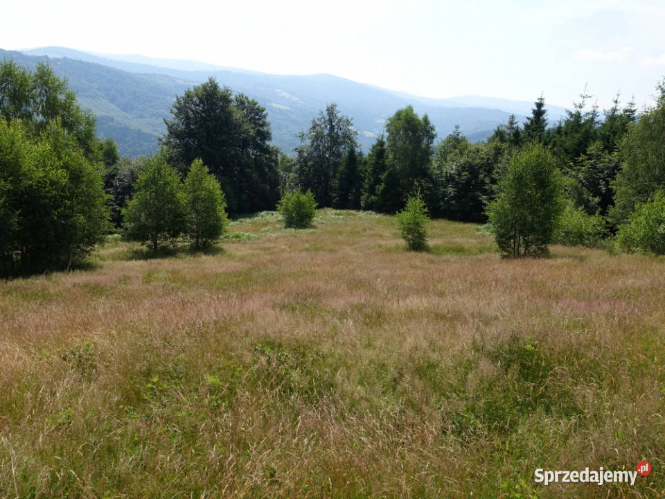 Brenna 253 ha działka inwestycyjna wyciągu