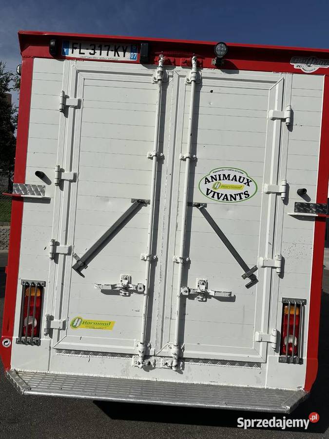 Bydlarka peugeot boxer Nowy Targ