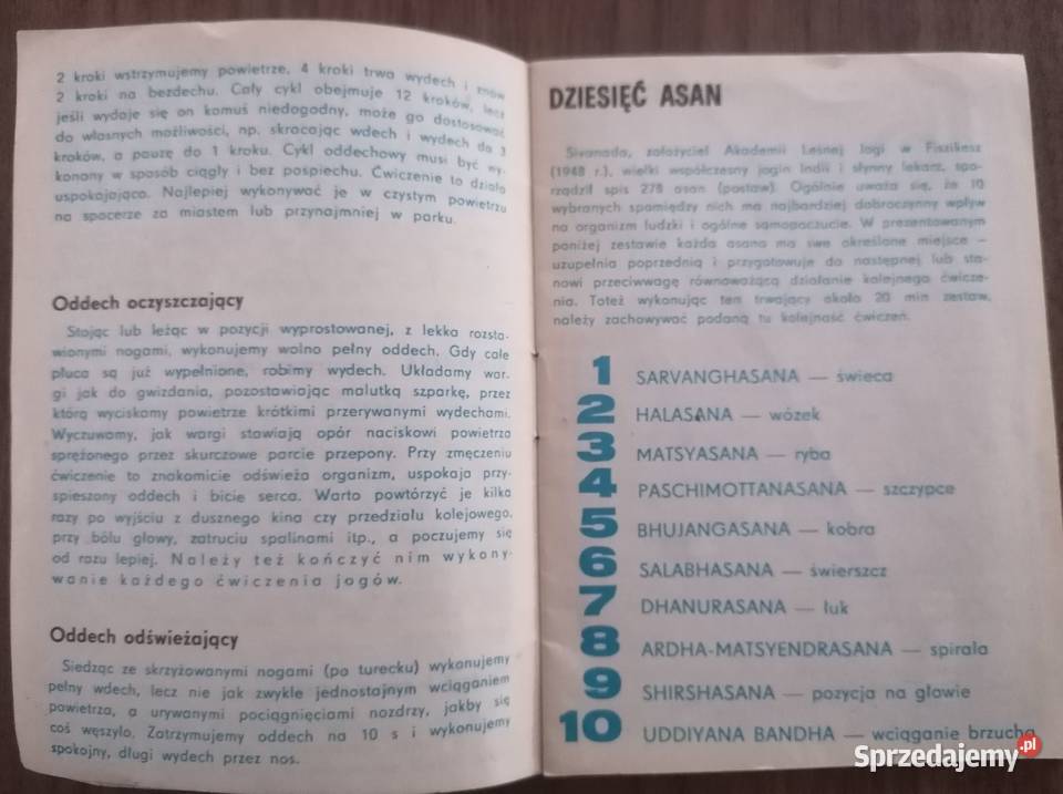 Hatha Joga każdego praca zbiorowa miękka łódzkie Łódź