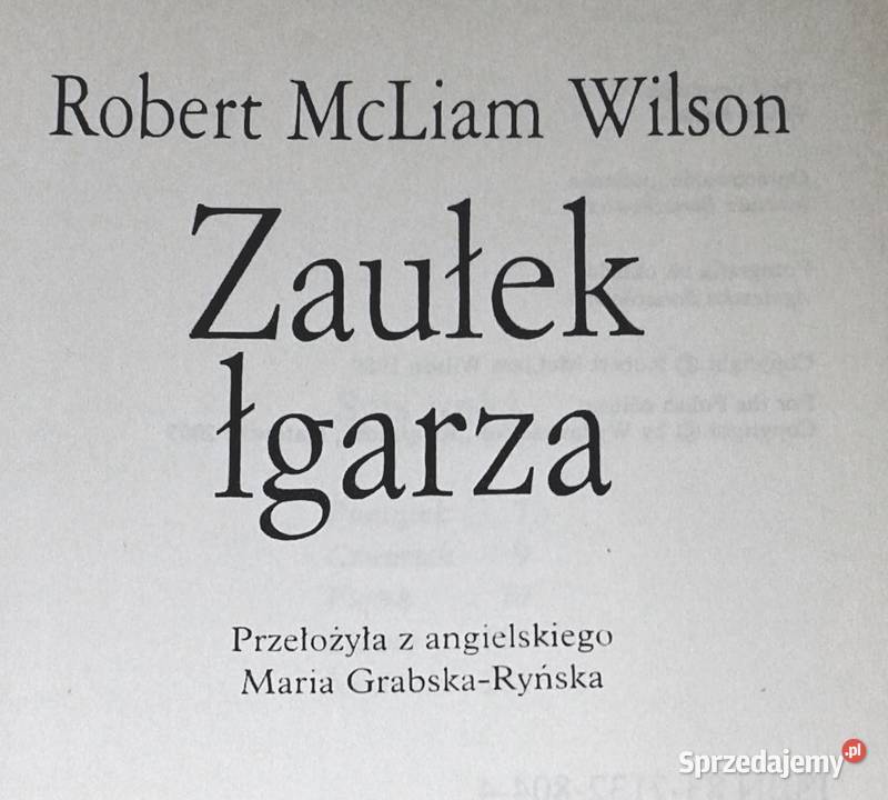 Zaułek łgarza Robert McLiam Wilson lubelskie Chełm sprzedam