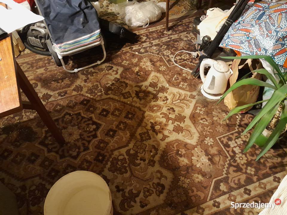 Dywam produkowany w PRL Ładny Wzór Tanio sprzedam