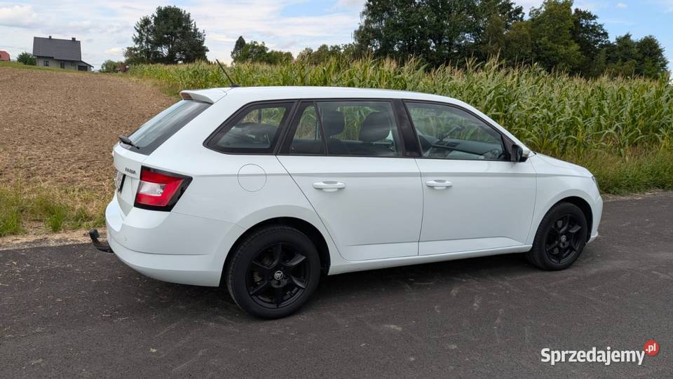 Skoda Fabia garażowany śląskie Kozy