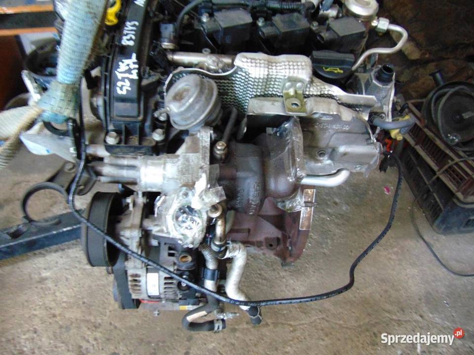 FORD ECOSPORT 10 ECOBOOST YYJD SILNIK KOMPLETNY osobowe