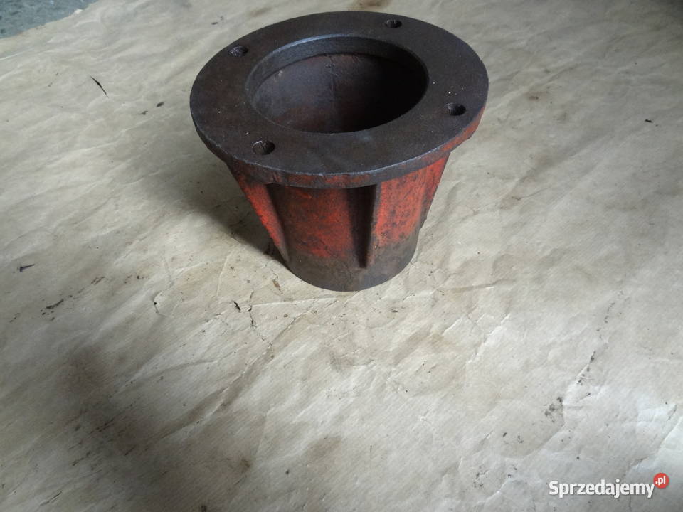 Piasta korpus pokrywa podkarpackie Rzeszów