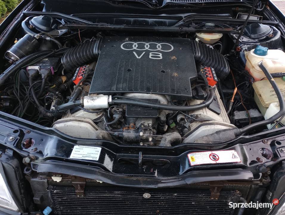 Audi S6 42 na części w całości kujawsko-pomorskie Bydgoszcz