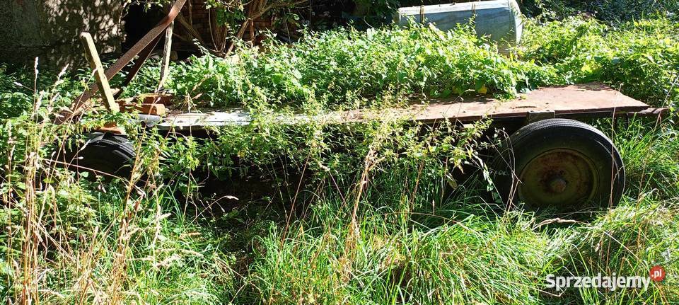 Małe przyczepki Jelenia Góra