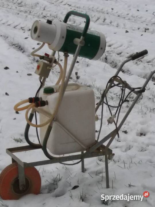 Zamglawiacz podkarpackie Kępie Zaleszańskie