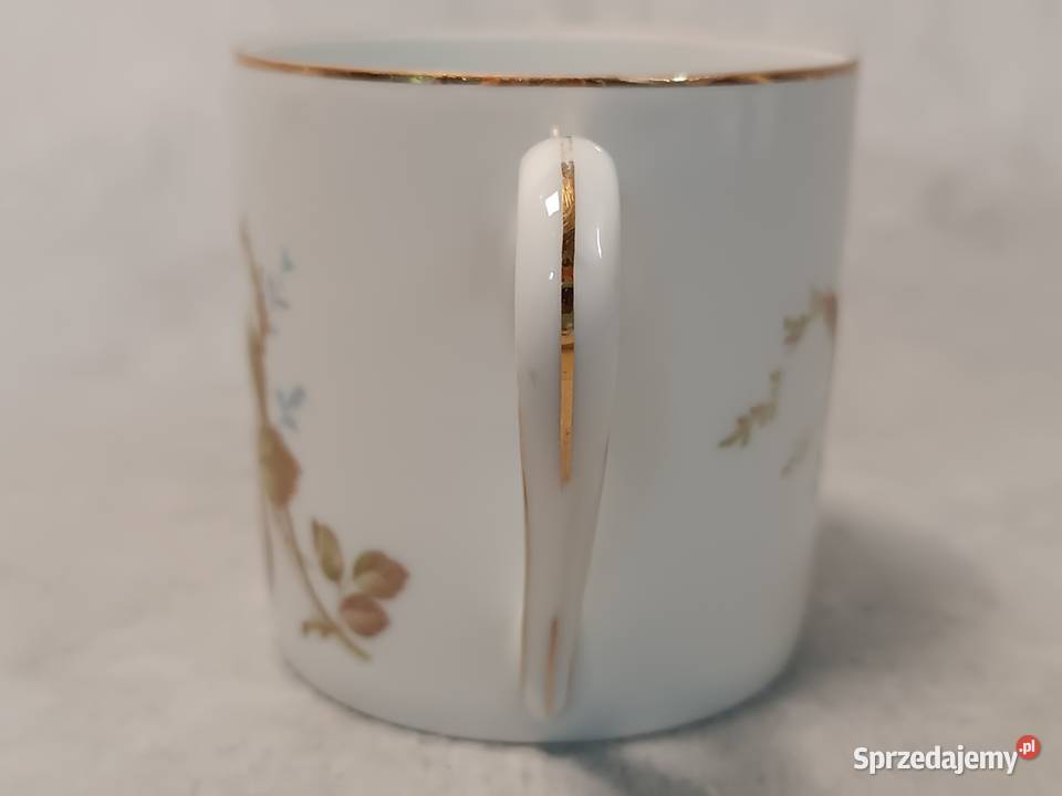 Rosenthal Filiżanka Śniadaniówka Duet Róże Moss