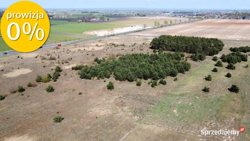 2 ha terenów usługowych DK22 0 sprzedam